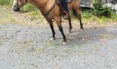 Trail Horseback riding Saint-Martin - St Martin domevre bois banal Pont rouge blockhaus  - Photo 14