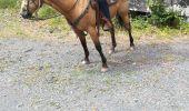 Tour Reiten Saint-Martin - St Martin domevre bois banal Pont rouge blockhaus  - Photo 14