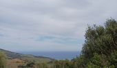 Percorso Marcia Port-Vendres - cospron - Photo 1