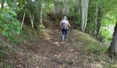 Tour Wandern Chalmazel-Jeansagnière - Au dessus de Chalmazel  - Photo 12
