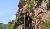 Trail Walking Niedersteinbach - Froensbourg - Photo 9