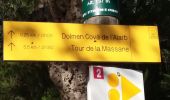 Trail Walking Argelès-sur-Mer - Tour de la Massane 13 km 780 m D+ - Photo 5