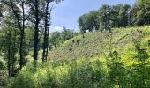 Tour Zu Fuß Unbekannt - Wanderweg Kettwig A3 - Photo 2