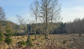 Tour Wandern Simmerath - A la découverte de Lammersdorf 🥾 - Photo 3