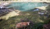 Tour Wandern Cauterets - 2023-09-01 Pont d'Espagne - Vignemale - Photo 1