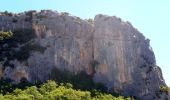 Tour Wandern La Palud-sur-Verdon - Sentier Blanc Martel IGN  3442 OT - Photo 6