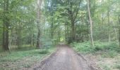Tour Wandern Andenne - 20190702 Kevret - Photo 10