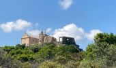 Tour Wandern Calvi - Pointe de la bêta - Photo 3