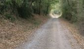 Trail Walking Germond-Rouvre - 2020-09-19  - Photo 1