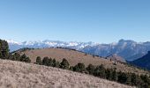 Trail Walking Châtillon-en-Diois - le sommet serre du beau puy - Photo 20