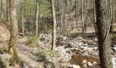 Trail Walking Aywaille - ninglinspo . chefna . fond de quareux  - Photo 7