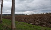 Percorso Marcia Valence - Cornillas, Le vignoble, Peyrandieu - Photo 20