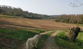 Trail Walking Criel-sur-Mer - Criel-sur-Mer  - Photo 4