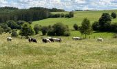 Randonnée Marche Fauvillers - Tintange 25,3 km - Photo 16