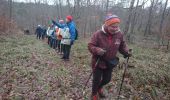 Trail Walking Fontainebleau - Belle-croix 27 janvier 2023  - Photo 3