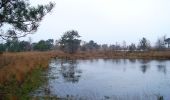 Tour Zu Fuß Kalmthout - Wandelpad Schaap - Photo 10