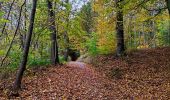 Trail Walking Anthisnes - Boucle de la Bégasse  - Photo 2