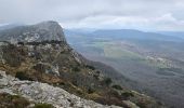 Trail Walking Plan-d'Aups-Sainte-Baume - Sainte Baume dans le brouillard 01-03-2025 - Photo 4