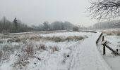 Trail Walking Spa - entre fagne et bois - version courte - Photo 19