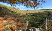 Percorso Marcia Recoules-d'Aubrac - Pont de Gourmier Grandval  - Photo 5