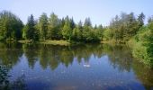 Tocht Stappen Ramonchamp - Ferdrupt / Les etangs noirs / Chalet Grammont / Chalet de l'alouette  - Photo 15