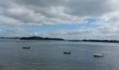 Tocht Stappen Arzon - PR_56_Arzon_AA_01_Pointes-Du-Golfe_Circuit1b_20230501 - Photo 5