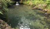 Trail Walking Petit-Bourg - Tambour la boucle - Photo 1