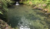 Excursión Senderismo Petit-Bourg - Tambour la boucle - Photo 1