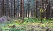 Trail Walking Eupen - nahtsief court - Photo 13