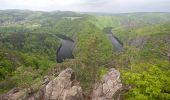 Tocht Te voet Křečovice - [Ž] Psané skály - Třebsín - Photo 6