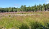 Trail Walking Hotton - Ménil Favay - Photo 2
