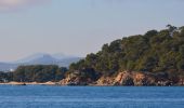 Randonnée Marche Bormes-les-Mimosas - Barrage du Trapan - Pellegrin - Photo 20