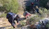 Trail Walking Aubagne - le tour de garlaban Martine - Photo 13