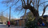 Percorso Marcia Hamois - Schaltin - Photo 5