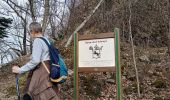 Tour Wandern Buhl - Wolfsgrube (4/3/2021) - Photo 7