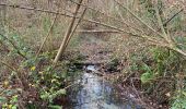 Tour Wandern Belœil - Stambruges, Beloeil, les Ecacheries, mer de sable, Stambruges - Photo 18