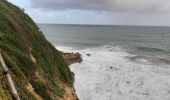 Excursión Senderismo Le Lorrain - La Crabiere Anse rivière Rouge - Photo 13