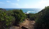 Tour Wandern La Trinité - Martinique pointe de la caravelle - Photo 6