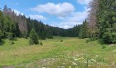 Tocht Stappen Les Rousses - lac des rousses . roche blanche . fort du risoux - Photo 15