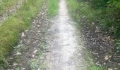 Trail Walking Bruyères-le-Châtel - R2 a Roche Turpin - Photo 3