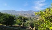 Percorso Marcia El Valle - Autour de Meligis El valle - Photo 8