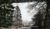 Trail Walking La Bresse - 24022021 La Bresse Lac des corbeaux - Photo 7