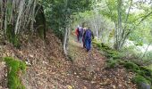 Trail Walking Argences en Aubrac - Durbec - Alpuech - Photo 18