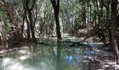 Randonnée Marche Nans-les-Pins - Sainte Baume : Nans les Pins - Chemin des Roys _ Les source de L'Huveaune - Photo 1