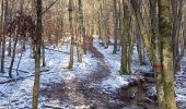 Tocht Elektrische fiets Strueth - sortie vtt 21012024 mertzen - Photo 2