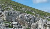 Excursión Senderismo Saint-Agnan-en-Vercors - 38 Grand Veymont par le plateau - Photo 7