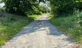 Tour Wandern Bièvre - Oizy 21 km - Photo 8