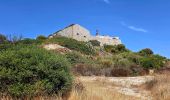 Tocht Stappen Calvi - Boucle Croix des Balkans - Phare de Revellata - Notre dame de la Sierra - Photo 3