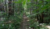 Trail Walking Liorac-sur-Louyre - Liorac 17km - Photo 1