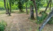 Tocht Stappen Marolles - Marolles - Site naturel et archéologique de la Grande Pierre et Vitain - Photo 1